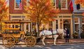 Carriage on Caroline Street